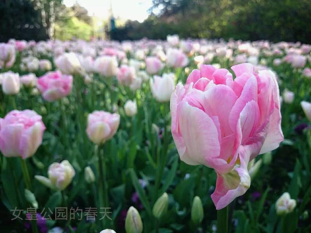 퀸즈 파크 모텔 인버카길 외부 사진